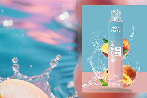 SP2S和冰熊哪個口味涼-SP2S與冰熊口味誰更清涼