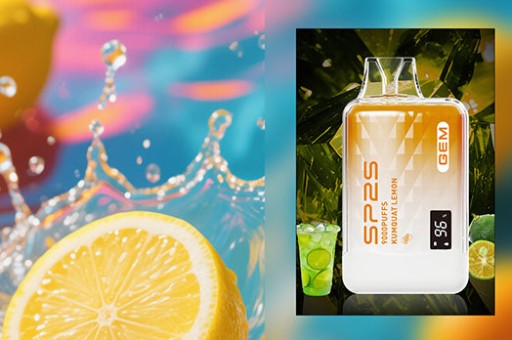 SP2S思博瑞拆解結構圖解、SP2S思博瑞拆解結構全解析