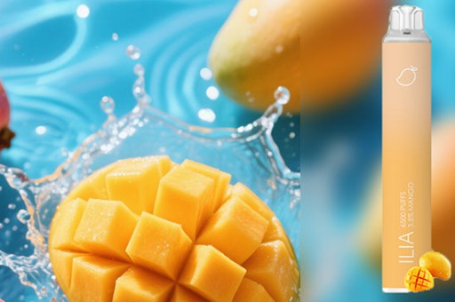 ZGAR冰熊煙彈口味前十名排行榜_冰熊說明書